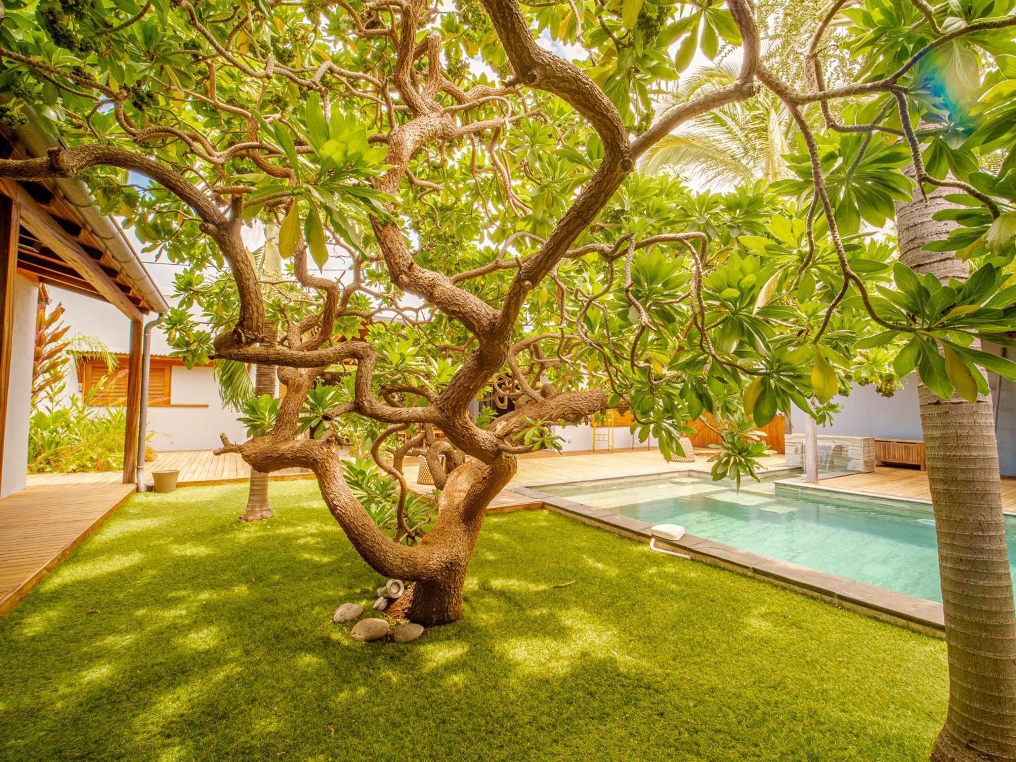 La Kaz Veloutier - Villa 4 Chambres Avec Piscine 拉萨尔勒班 外观 照片